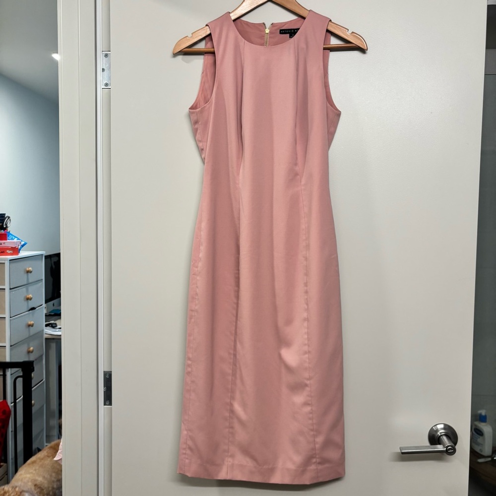 Elegant Pink Sleeveless Dress by Antonio Melani